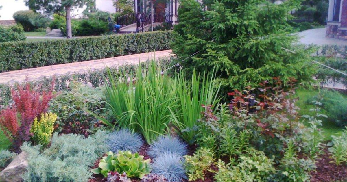 Low Maintenance Front Yard Ideas