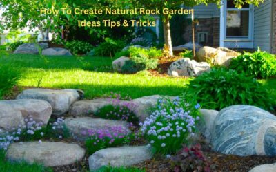 Natural Rock Garden Ideas