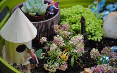 Fairy Garden Kit