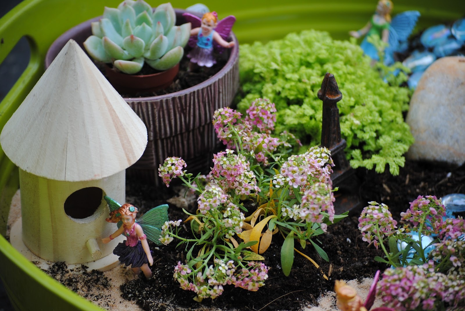 Fairy Garden Kit