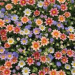 Top 18 Annual Plants and Flowers that Will Make an Impact